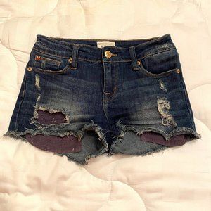Dark Denim Tween Shorts: Hudson Jeans (Size 12)